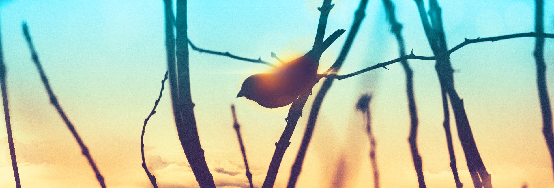 Free-At-Last-Church-Website-Banner- Free-At-Last-Church-Website-Banner-