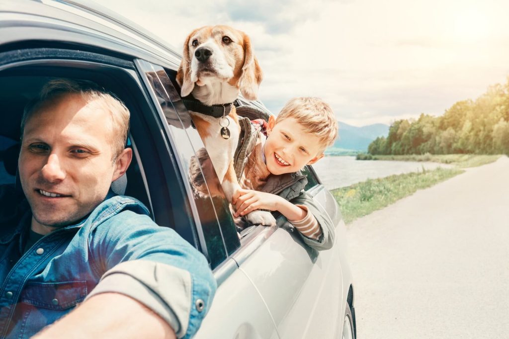 Columbus family goes on road trip in an insured car